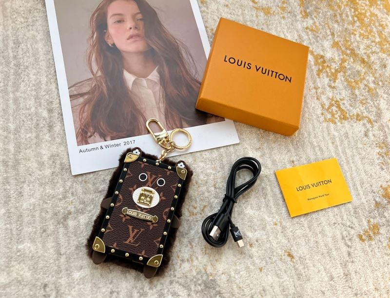 Louis Vuitton Bags Accessories